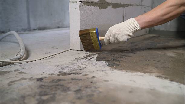 SJ Waterproofing Pros Waterproofing coverage map for Hartselle, AL and surrounding area